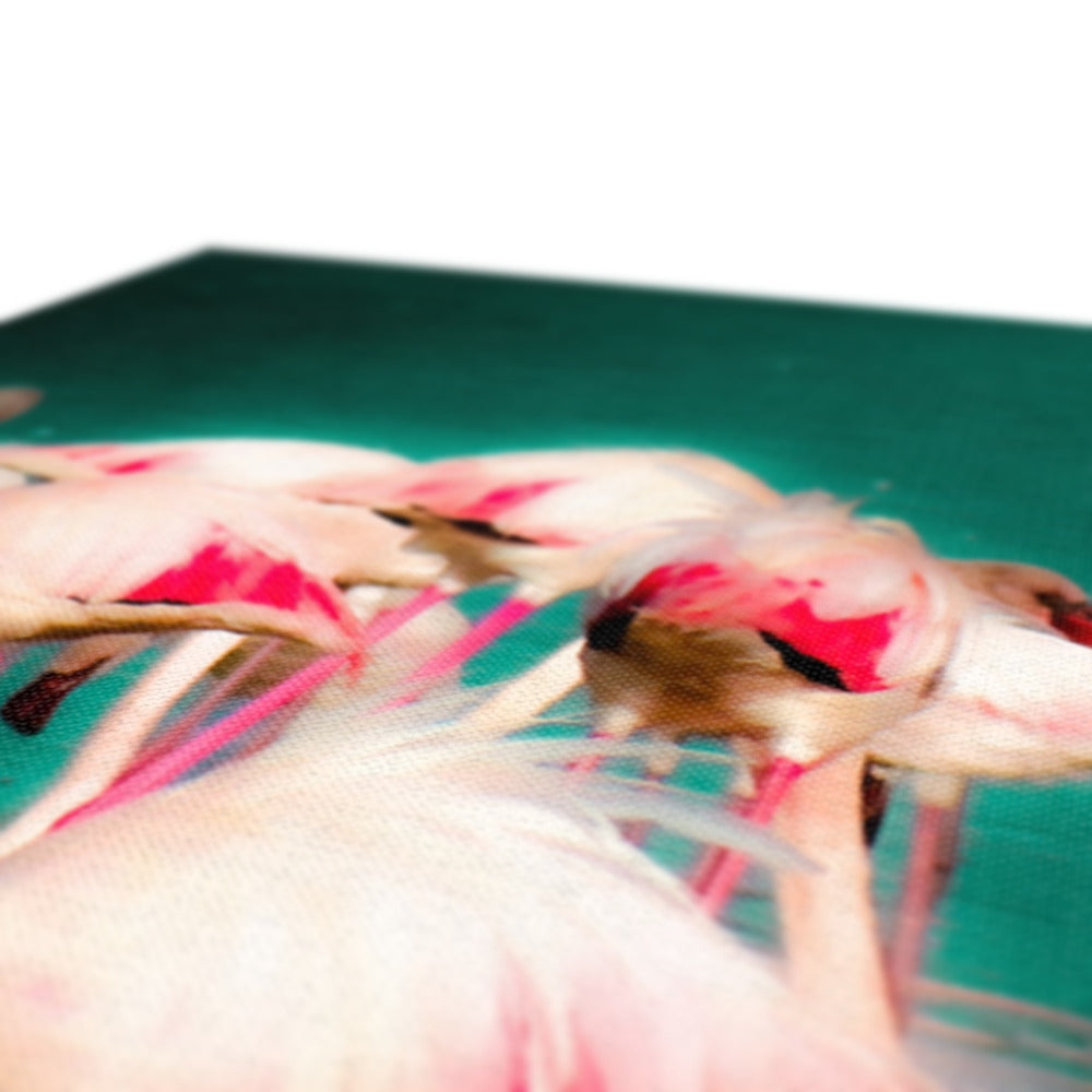 Flamingos 1 - Canvas