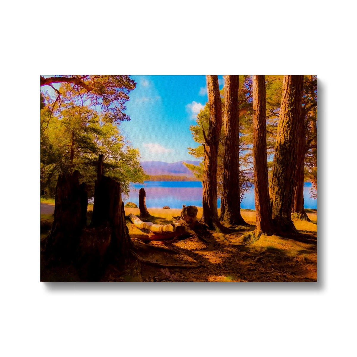 Lake in Scotland - Canvas