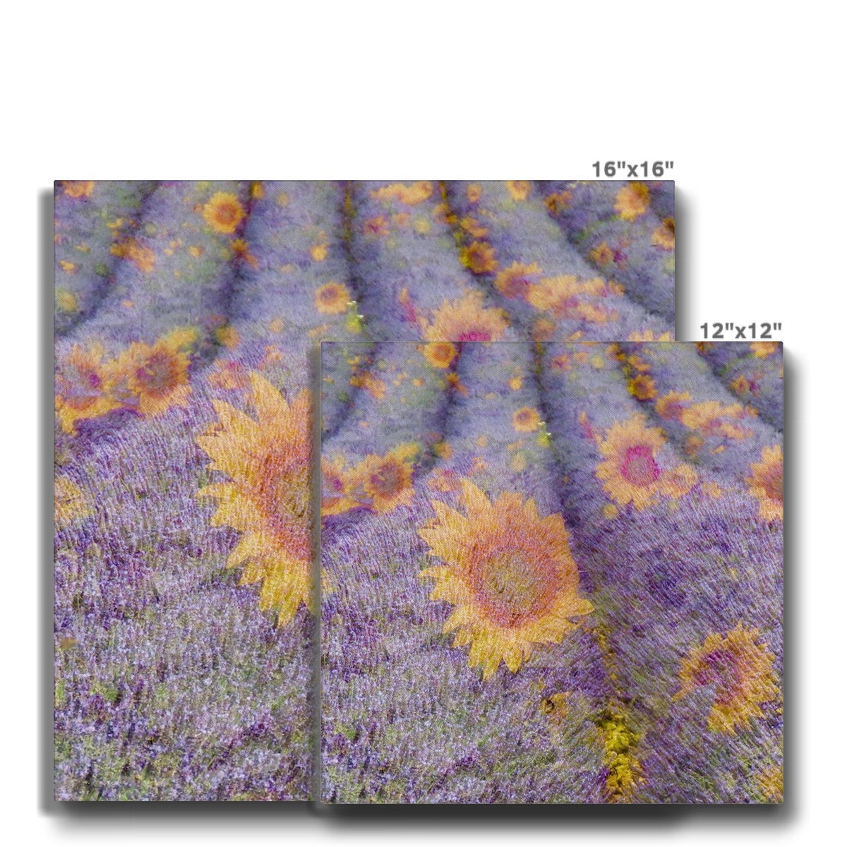 Lavander and Sun Flowers - Canvas