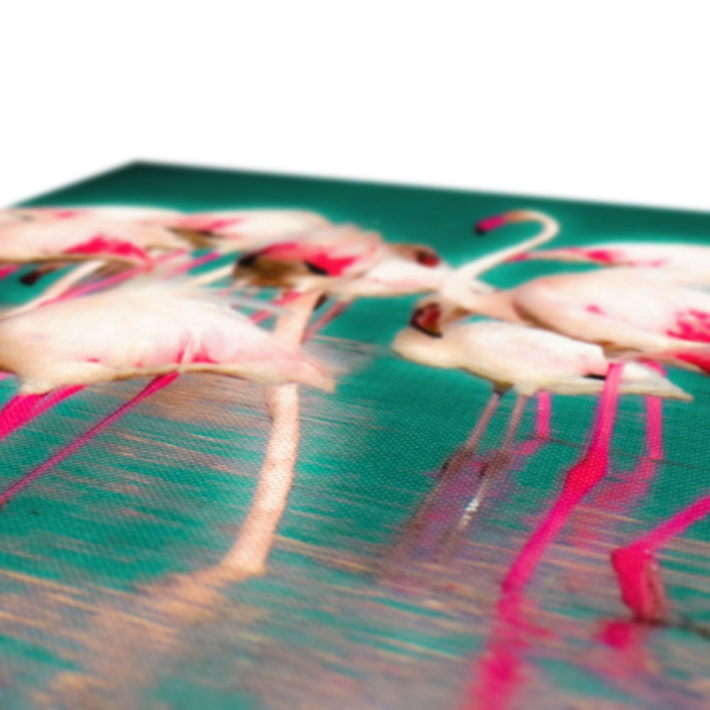 Flamingos 1 - Canvas