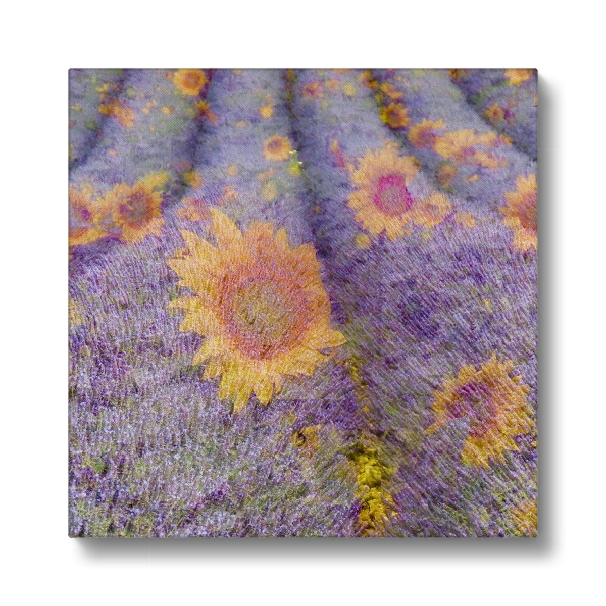 Lavander and Sun Flowers - Canvas