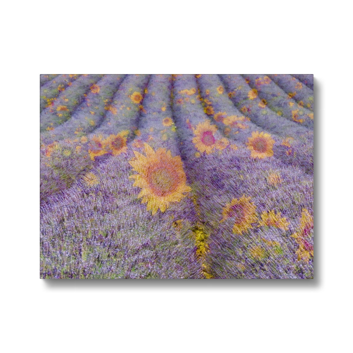 Lavander and Sun Flowers - Canvas