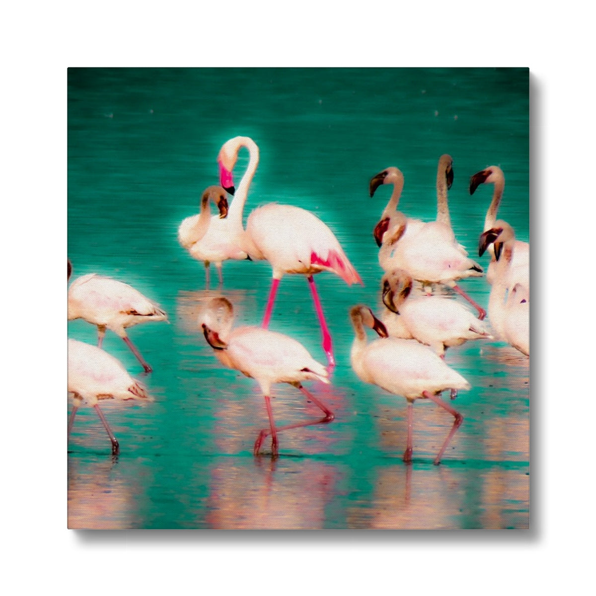 Flamants roses 3 - Toile