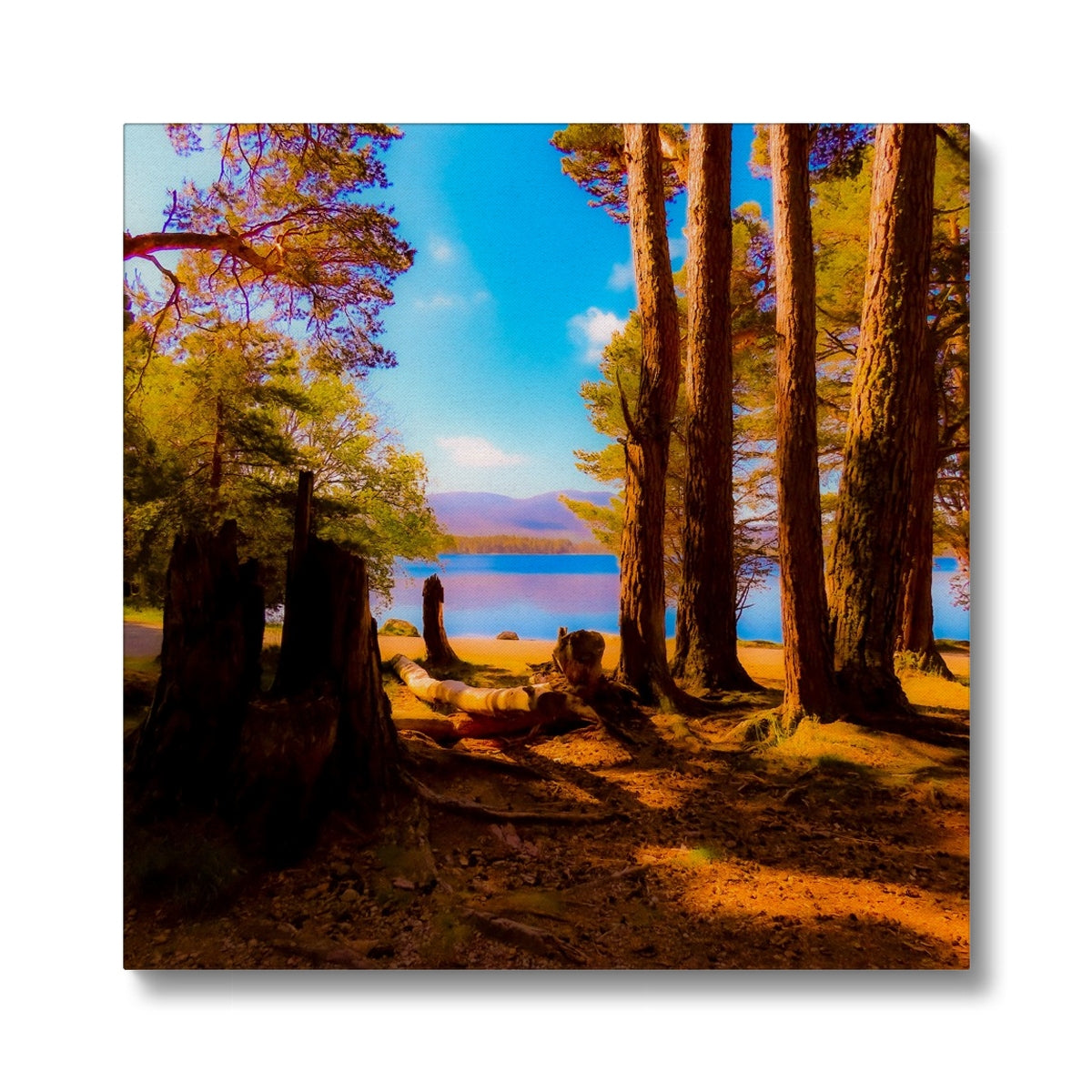 Lake in Scotland - Canvas