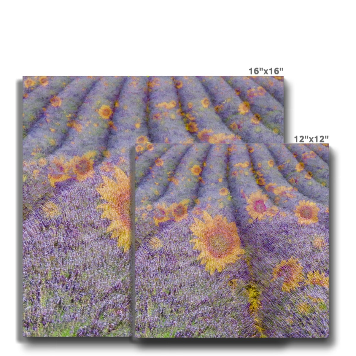 Lavander and Sun Flowers - Canvas