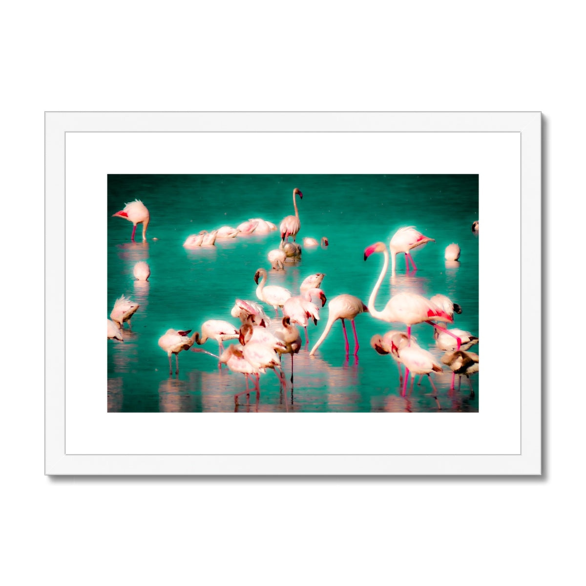 Flamingos 2 - Framed