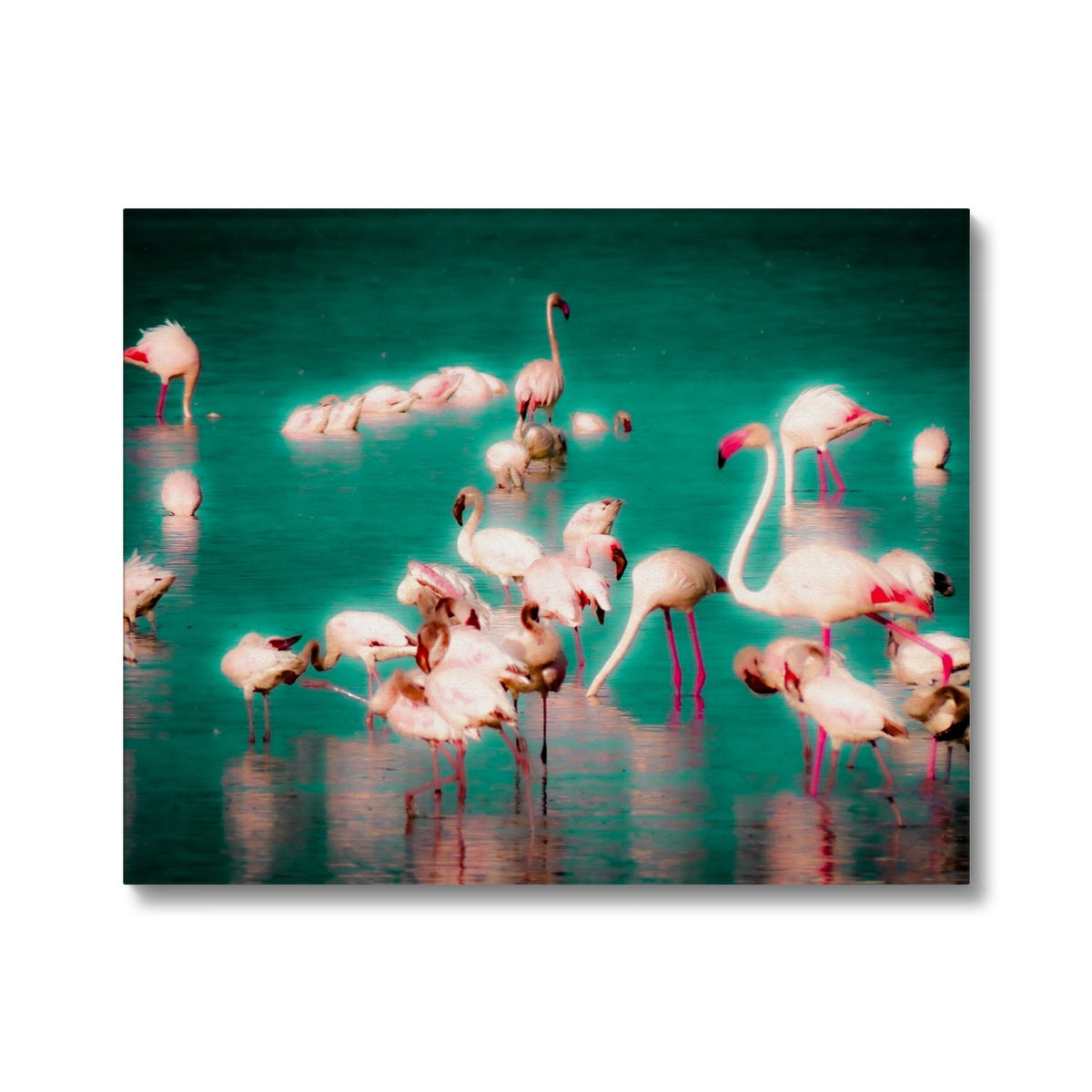 Flamingos 2 - Canvas