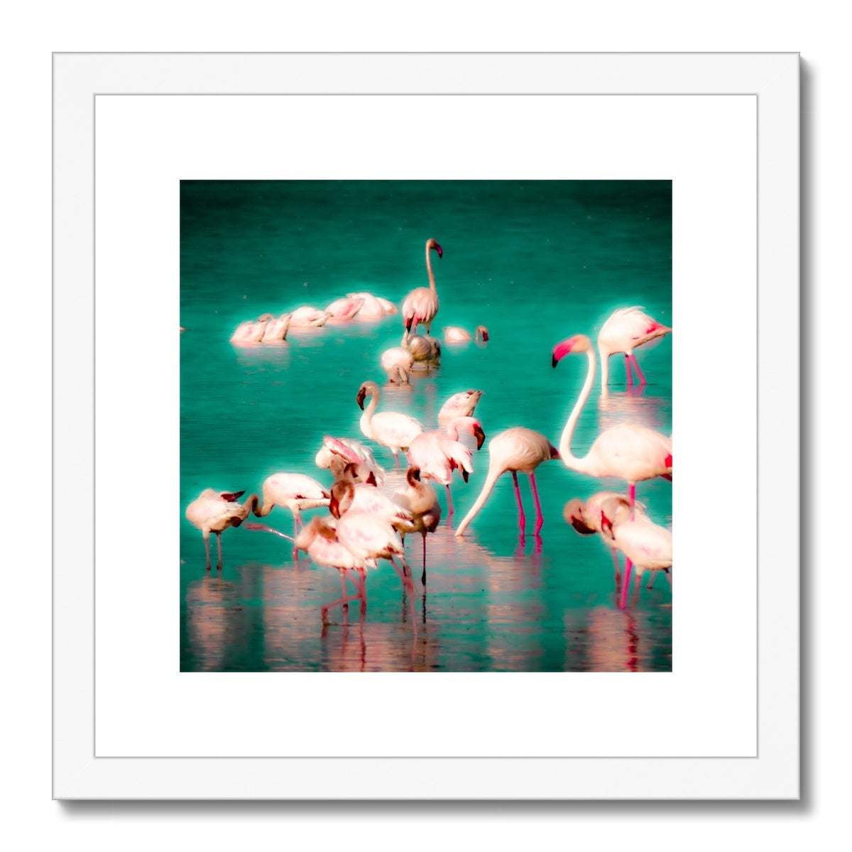 Flamingos 2 - Framed