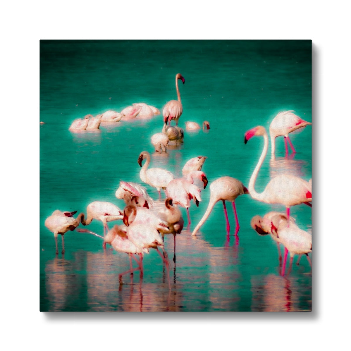 Flamingos 2 - Canvas