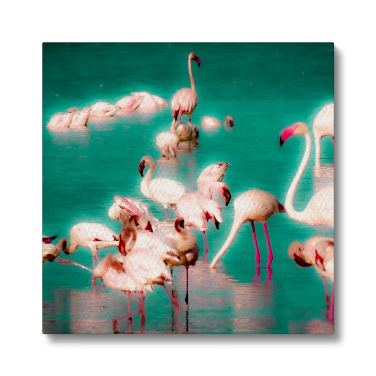 Flamingos 2 - Canvas