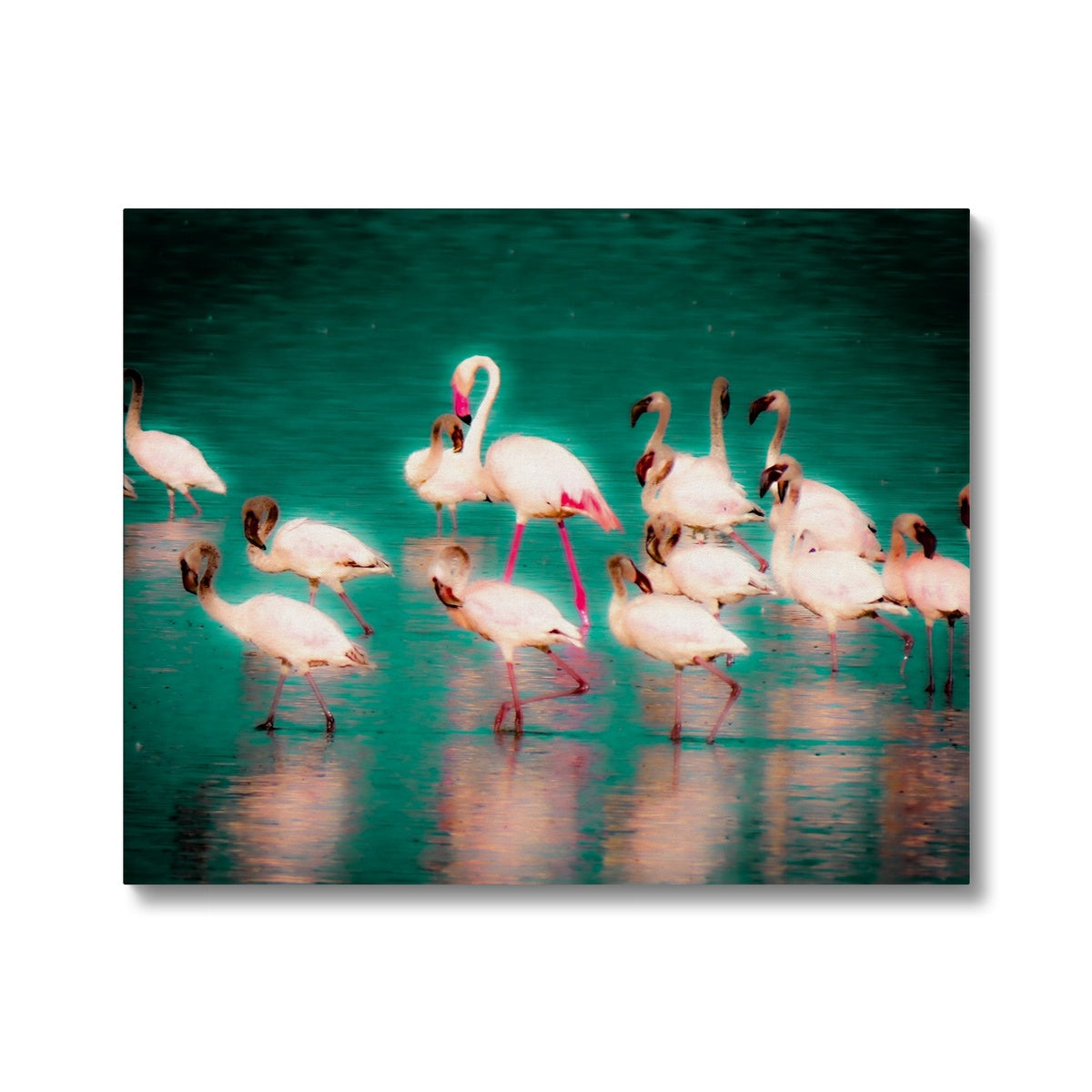 Flamingos 3 - Canvas