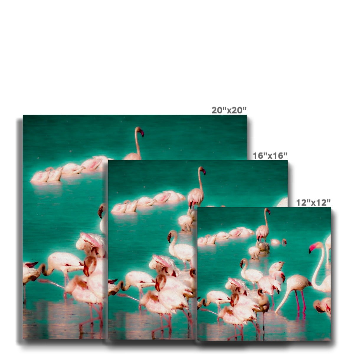 Flamingos 2 - Canvas