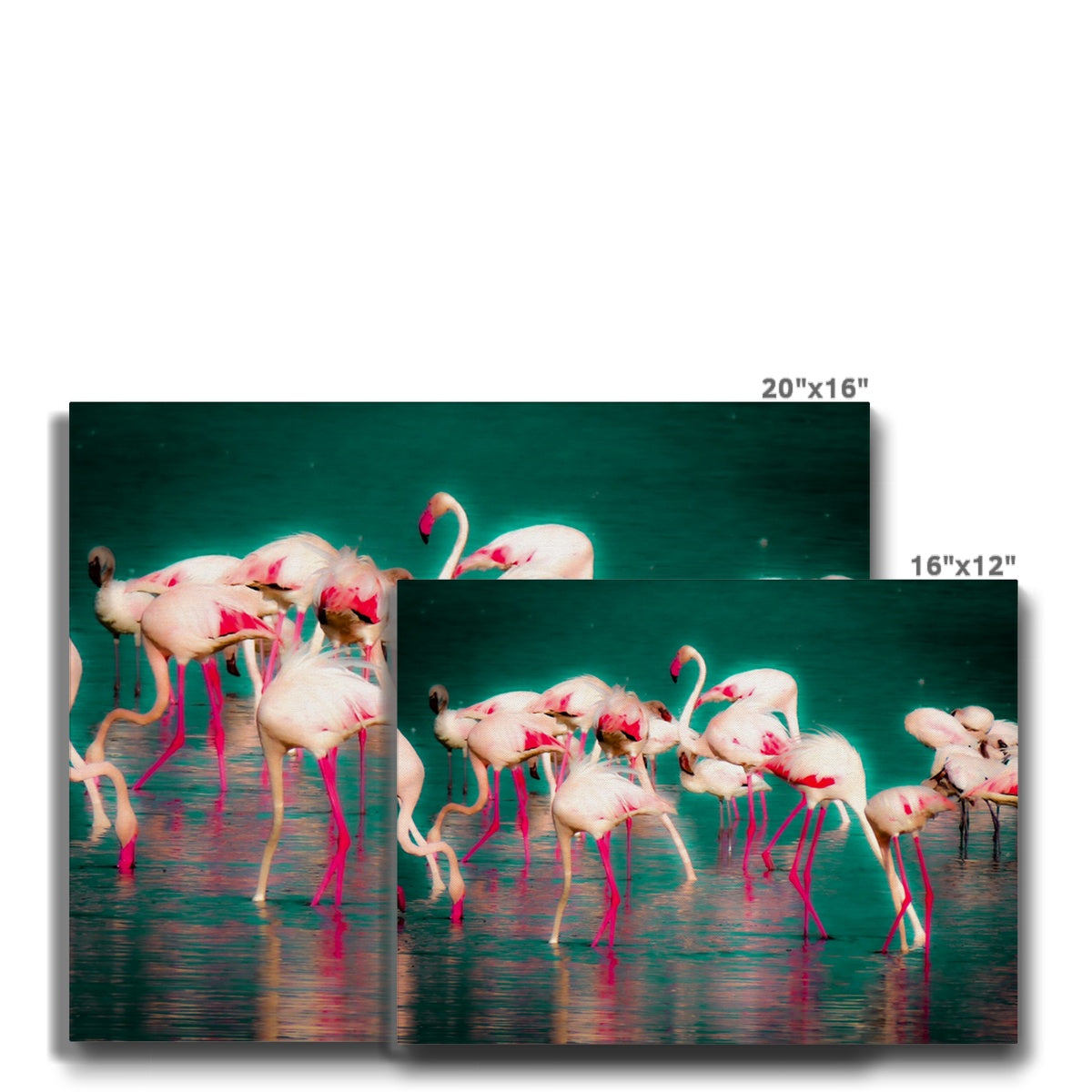 Flamingos 1 - Canvas