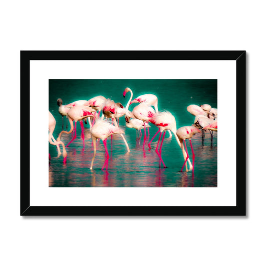 Flamingos 1 - Framed