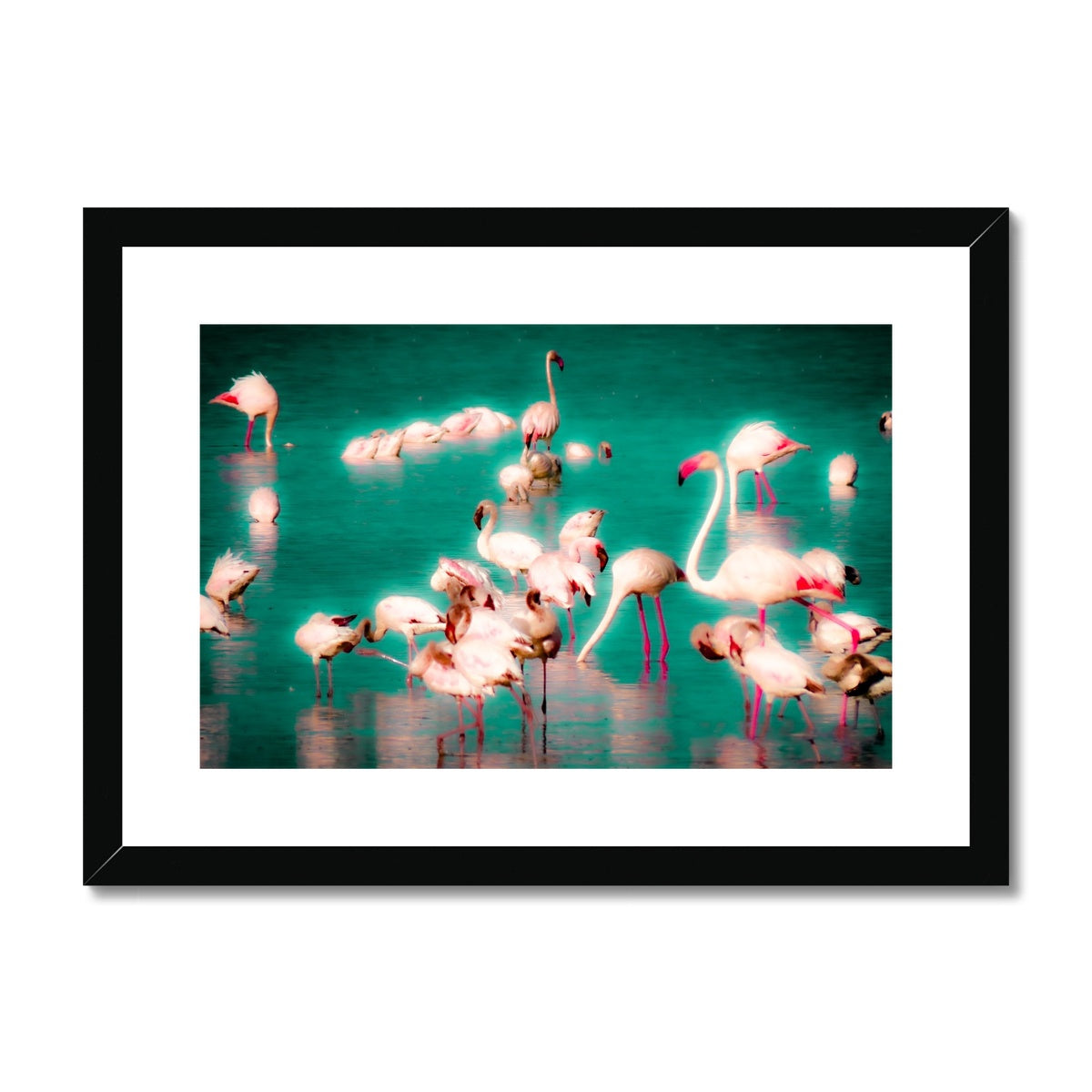 Flamingos 2 - Framed