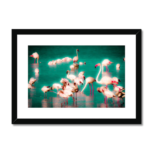 Flamingos 2 - Framed