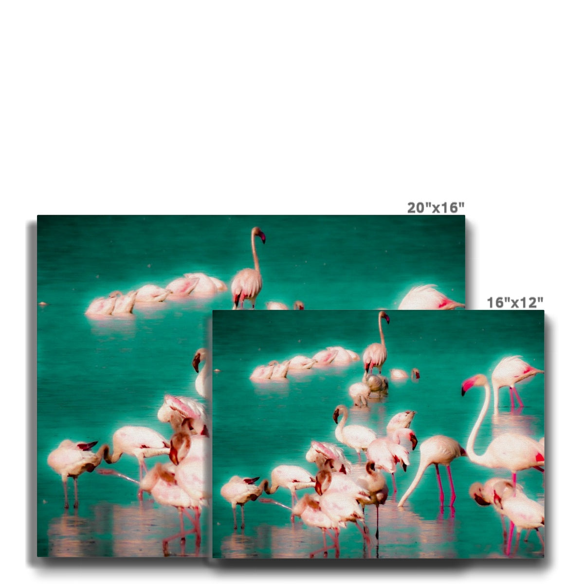 Flamingos 2 - Canvas