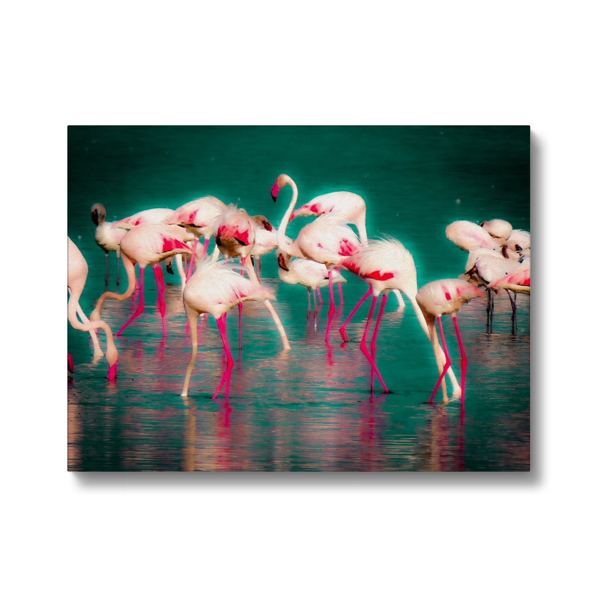 Flamingos 1 - Canvas