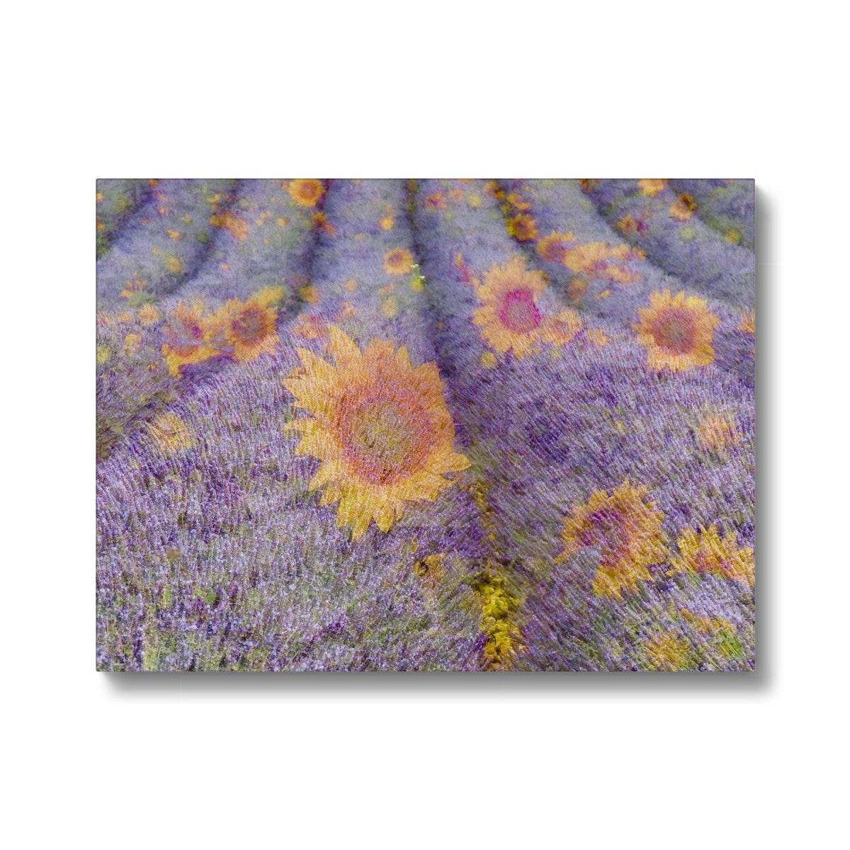 Lavander and Sun Flowers - Canvas