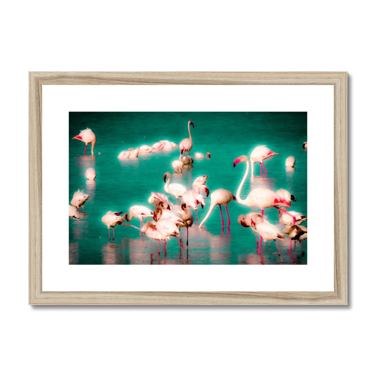 Flamingos 2 - Framed