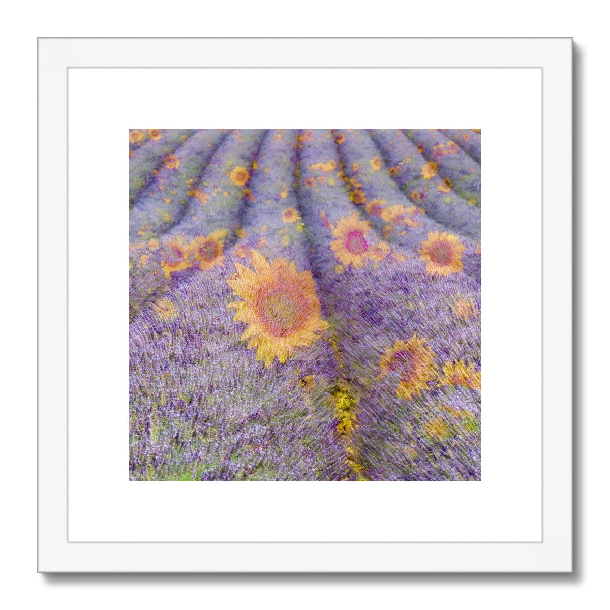 Lavander and Sun Flowers - Framed