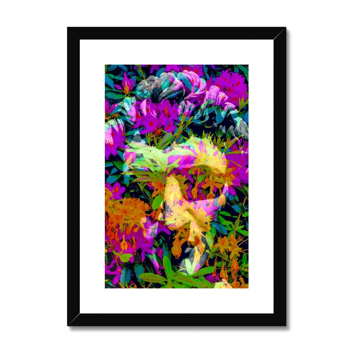 Antique Head 1 - Framed