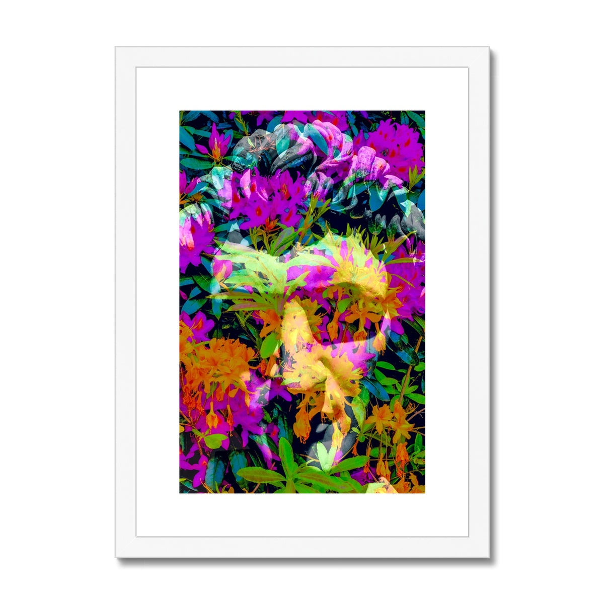 Antique Head 1 - Framed