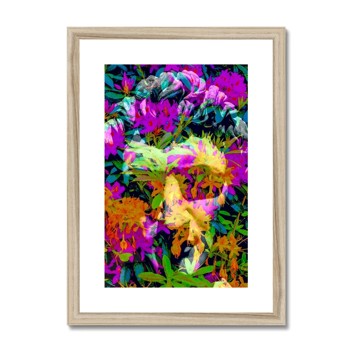 Antique Head 1 - Framed